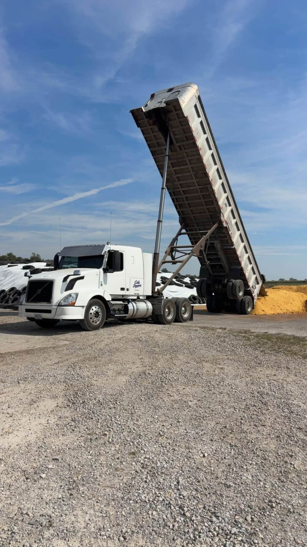 White Cole Transport semi-truck unloading shelled corn from a raised dump trailer